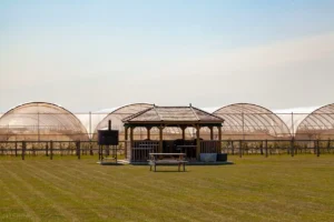 RankinsfarmView